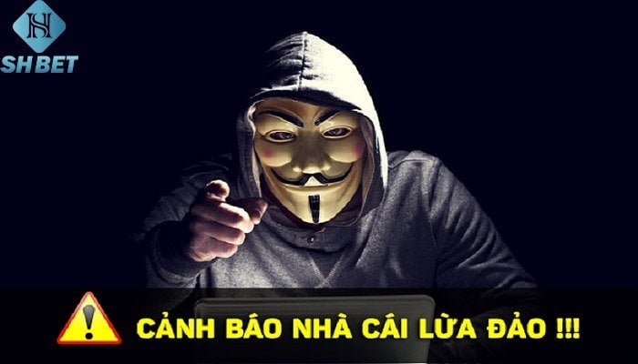 K9 lừa đảo người chơi - sự thật về câu chuyện này 3 K9 lừa đảo