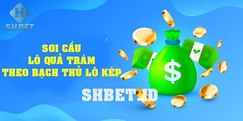 Bí quyết soi cầu lô hình quả trám - Bắt lô cầu chính xác nhất 17 lô hình quả trám
