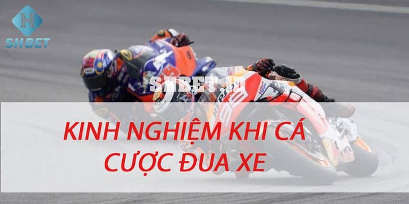Hướng dẫn cá cược đua xe cho người mới bắt đầu 1 Cá cược đua xe