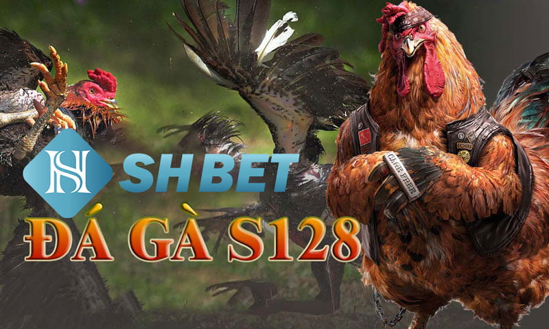 Đá gà S128 - Nhà cái đá gà uy tín  9 Đá gà S128 - Nhà cái đá gà uy tín