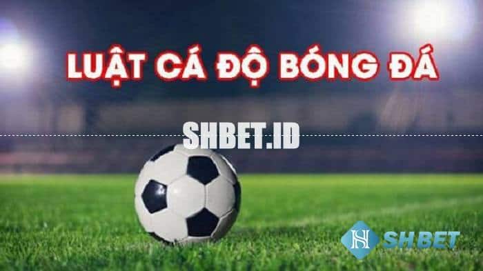 Luật cá độ bóng đá cơ bản nhất cho tân thủ 9 luật cá độ bóng đá