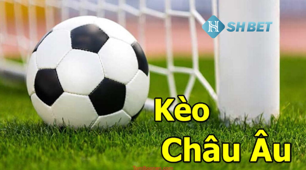 Kèo châu Âu Tìm hiểu sâu về loại cược hấp dẫn này 1 Hướng dẫn đọc kèo châu u chính xác cho tân thủ