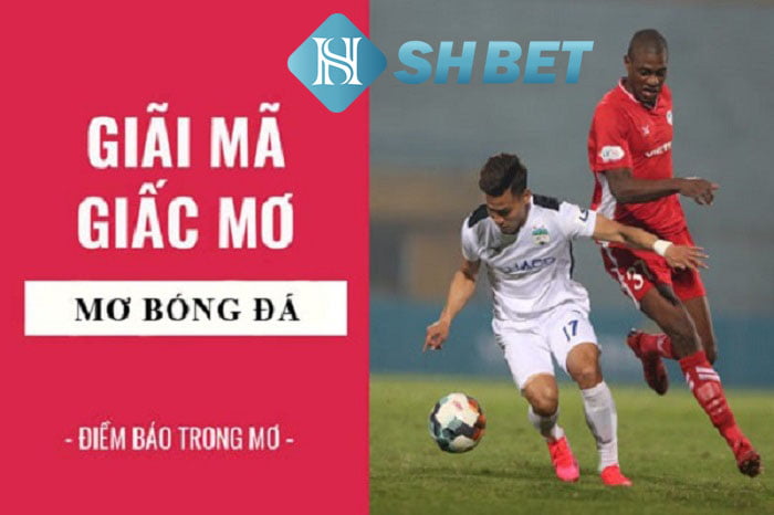Mơ đá bóng đánh con gì? Sổ mơ chính xác nhất hiện nay 37 Mơ đá bóng đánh con gì? Sổ mơ chính xác nhất hiện nay