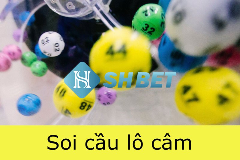 Kinh nghiệm đánh lô đầu câm cho tân thủ  40 Kinh nghiệm đánh lô đầu câm cho tân thủ