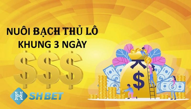 Cách nuôi lô bạch thủ khung 3 ngày siêu chuẩn 7 Cách nuôi lô bạch thủ khung 3 ngày siêu chuẩn