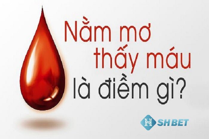Giải mã giấc mơ thấy máu? Điềm lành hay dữ? Nên đánh con gì? 24 Giải mã giấc mơ thấy máu? Điềm lành hay dữ? Nên đánh con gì?