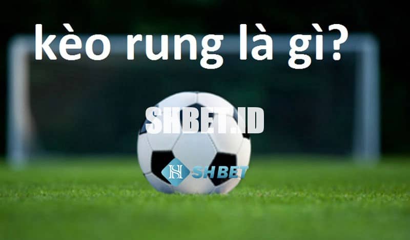 Đánh rung là gì? Hướng dẫn xem kèo rung chính xác 2023 1 Đánh rung là gì? Hướng dẫn xem kèo rung chính xác