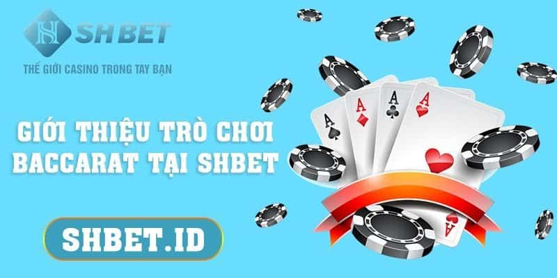 Giới thiệu trò chơi Baccarat tại SHBET và mẹo đánh 2023 1 SHBET_Giới thiệu trò chơi Baccarat tại SHBET và mẹo đánh 2023